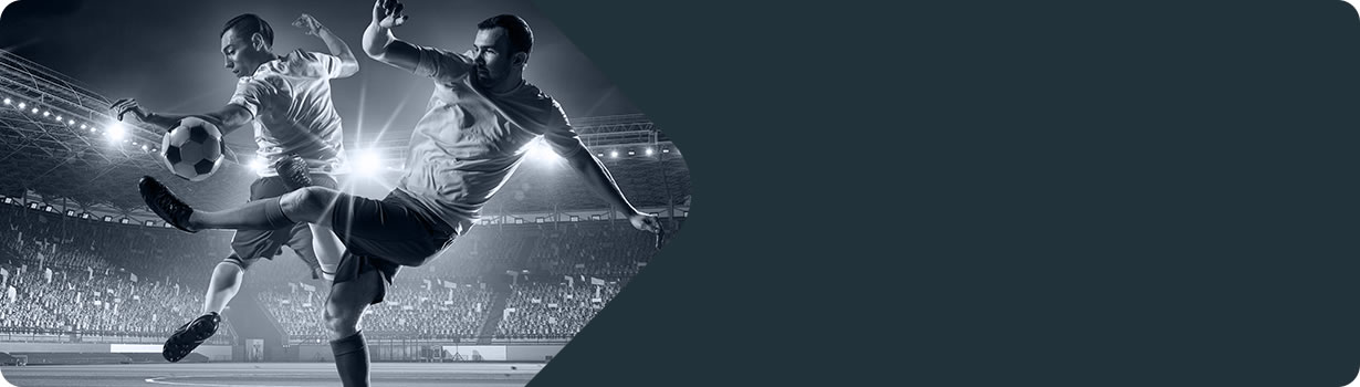 large print easy sudoku printable
